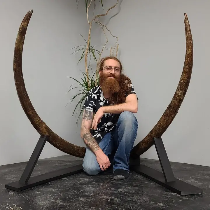 Stegodon tusk for sale in Canada,